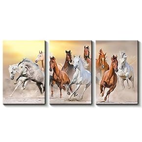 3 Panel Canvas Wall Art Beautiful White Horse Canvas Prints Painting Wall Decor for Living Room Wooden Framed Home Decorations - 16"x24" x 3 Panels