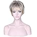 Deifor Short Messy Curly Synthetic Hair Natural As Real Hair Wigs for Daily Use (Brown Mix Blonde)