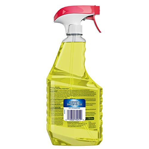 2 Windex+Multi+Surface+Disinfectant+Cleaner+Fluid+Ounce