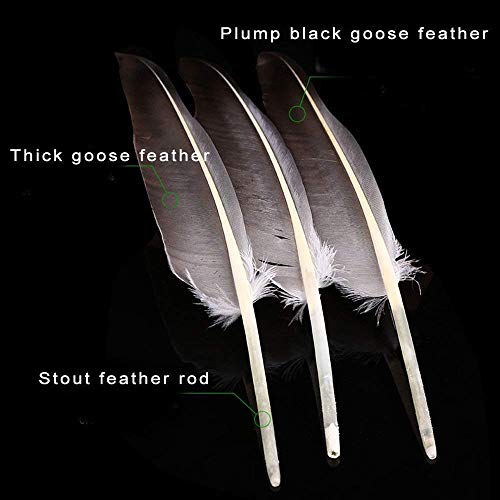 ZHENAN 12-Pack Black Goose Feather Badminton Shuttlecocks with Great Stability and Durability,Advanced Shuttlecocks Indoor Outdoor Sports Hight Speed Training Badminton Birdies Balls