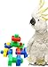 Bonka Bird Toys 3505 Pk6 Huge Nuts and Bolts Colorful Enticing Large Screw Interactive Foot Beak Throw Parrot Cockatoo Amazon African Grey Macaw Hyacinth
