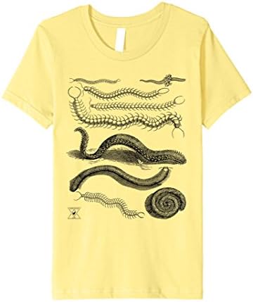 Kids Centipede T-Shirt Entomology Insects Bugs Science Art 8 Lemon