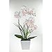 FANStek 2AA LED Lighted Artificial Orchid Arrangement-Battery Operated Orchid Pot with 9 Lights (White)