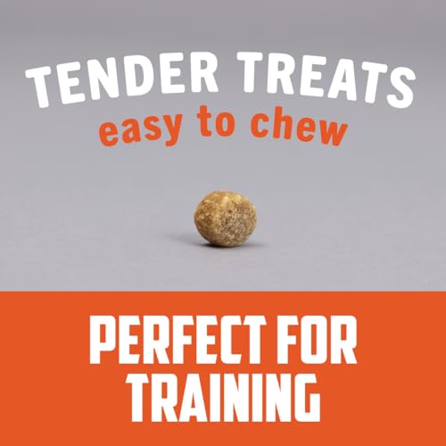 SPORTSMAN’S PRIDE FIELD MASTER PERFECT PARTNER CHICKEN & BROWN RICE RECIPE TRAINING DOG TREATS, 12 OZ.
