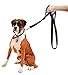 LOVATIC Dog Bark Collar - No Shock Vibration and Sound Humane Training Device for Small Medium Large Dogs - 7 Levels Sensitivity Adjustment - Best No Bark Control Collar