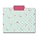 Graphique Flamingo Pink File Folder Set – File Set Includes 9 Folders and 3 Unique Flamingo and Polka Dot Designs, Embellished w/ Gold Foil on Durable Triple-Scored Coated Cardstock, 11.75