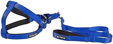 LUCKIEY Adjustable Dog Harness Leash,Matching Padded Collar &amp; Leash Available,Best for Medium and Large Dogs Daily Training Walking Running