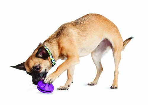 twist n treat dog toy