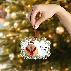 Smiling Capybara Christmas Ornament 2024