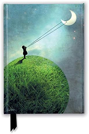 Catrin Welz-Stein: Chasing the Moon (Foiled Journal) (Flame Tree Notebooks)