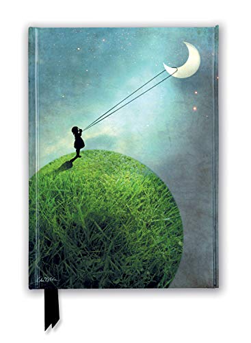 Catrin Welz-Stein: Chasing the Moon (Foiled Journal) (Flame Tree Notebooks)
