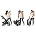 Evenflo Folio Travel System, Blackberry