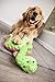 goDog Dinos Bruto with Chew Guard Technology Durable Plush Dog Toy, Large, Green