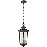 Millennium Lighting Eldrick - 2 Light Outdoor Hanging Lantern-17.9 Inches Tall and 8.3 Inches Wide-Powder Coat Black Finish