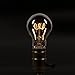 SEALIGHT Vintage Flexible LED Filament Bulb A19