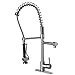 VIGO Zurich Single Handle Pull-Down Spray Kitchen Faucet with Deck Plate, Stainless Steel