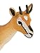 Safari Ltd Wild Safari Wildlife - Thomson's Gazelle - Realistic Hand Painted Toy Figurine Model - Quality Construction From Safe and BPA Free Materials - For Ages 3 and Up