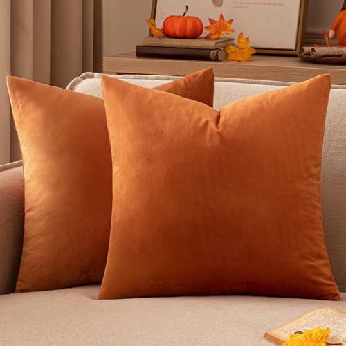 EMEMA Orange Velvet Throw Pillow Cover