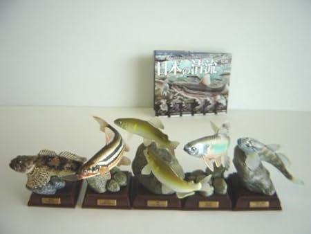 Amazon ネイチャー テクニ カラー 日本の 清流 人気5種 淡水魚 カジカ全5種 1 アユ 2 オイカワ 婚姻色 3 ウグイ カプセル玩具 おもちゃ