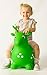 NDN LINE Bouncy Deer Animal, Bouncy Horse Hopping Inflatable with Pump