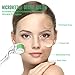 Derma Roller Microneedles for face, 540 Titanium Seamless Micro Needle Roller 0.25mm Cosmetic Needle Skin Care Tool
