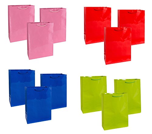 Hallmark Meduim Glossy Solid Gift Bags (12 Pack)