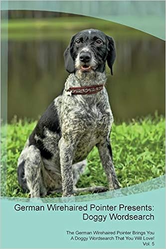 german wirehaired pointer cost