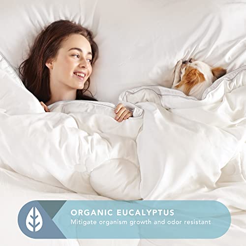 Codi Eucalyptus Lyocell Comforter Queen/Full Size, Breathable Duvet Insert, Down Alternative