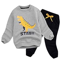 BomDeals Cute Cartoon Dinosaur Printed Baby Boys Long Sleeve Tops and Pants Outfits (311,Grey,120)