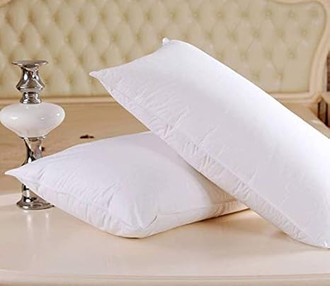 Jaipuri Home Decor Microfibre 2 Piece Sleeping Reading Bed Pillow