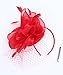 SAFERIN Fascinator for Women Hair Clip Hat Bowler Feather Flower Veil Wedding Party Hat Tea Hat（TA2-Red）