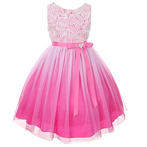 ZAH Girl Dress Kids Ruffles Lace Party Wedding Dresses(Pink,3-4Y)