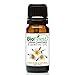 Biofinest German Chamomile Essential Oil - 100% Pure Undiluted, Premium Organic Therapeutic Grade - Best for Aromatherapy, Sleep, Skin Health, Ease Stress Anxiety Pain Flu Cold - FREE E-Book (10ml)