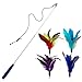 EcoCity Cat Toys - Cat Teaser Toys - Include Cat Wand and Natural Feather Refills (5 Pack)