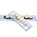 Oral Dentistry 168 Pcs Dental Complete Acrylic Resin Denture False Teeth for Halloween Horror Teeth 6 Sets Synthetic Resin Teeth Denture (1 Box)