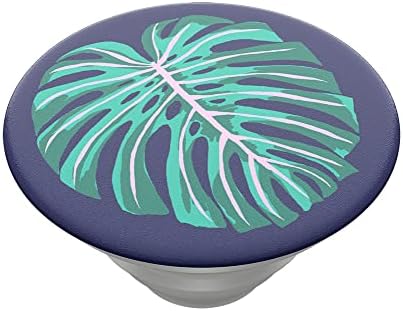 PopSockets PopTop (Top only. Base sold separately) Swappable Top for  PopGrip bases, PopGrip Slide, & PopWallet+ - Vintage Palm Leaf price in UAE  | Amazon UAE | kanbkam