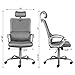 Ergonomic Office Chair Adjustable Headrest Mesh Office Chair Office Desk Chair Computer Task Chair (Light Gray)