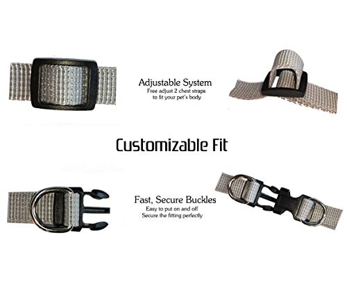 Kamots Beauty Escape Proof Dog Cat Harness and Leash with Reflective Strap Soft Mesh Adjustable Vest with Lead for Kitten Puppy Rabbit Small Pet Walking -(Grey,XS)