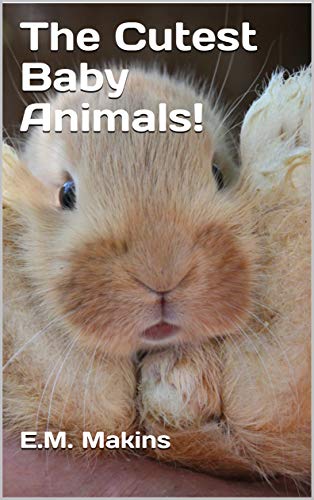The Cutest Baby Animals Kindle Edition By Em Makins - 