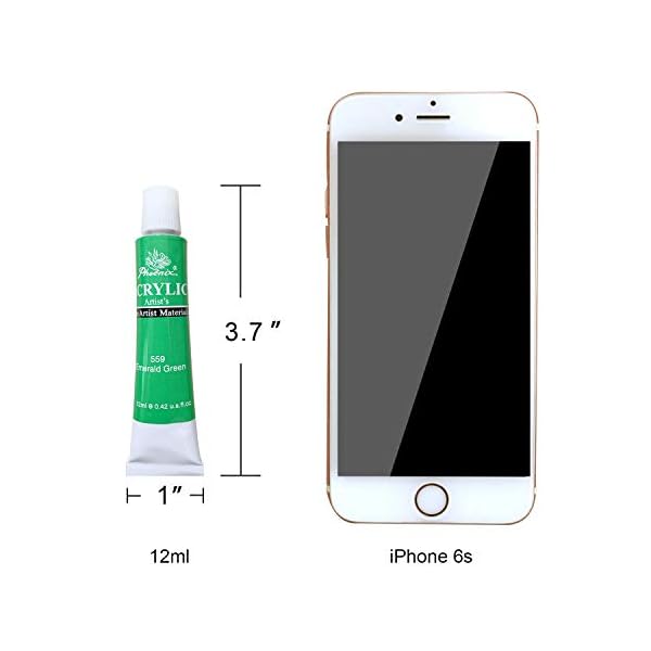 PHOENIX Acrylic Paint Set 12 Color x 12ml / 0.4 Fl Oz Tubes Nontoxic