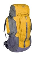 louis vuitton backpack blue fur Louis Vuitton Brown & Blue Monogram Dean Backpack  Savonches