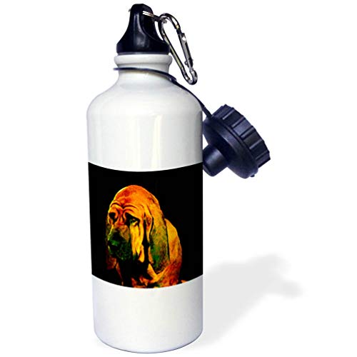 3dRose Bloodhound Sports Water Bottle, 21 oz, White