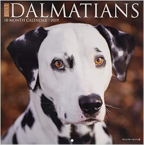 Just Dalmatians 2019 Wall Calendar (Dog Breed Calendar), by Willow Creek Press