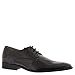 Giorgio Brutini Men's EVOQ Wingtip Oxfords