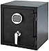 AmazonBasics Fire Resistant Safe - .83 Cubic Feet