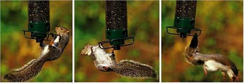 Droll Yankees Yankee Flipper Squirrel-Proof Bird Feeder, 21 Inches, 4 Ports, Forest Green (Renewed)