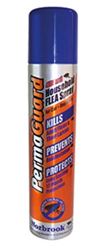 siamese cattery near me