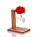 Kingbuy Hydroponic Glass Vase Vintage Desktop Plant Terrarium Planter Bulb Vase Water Planting Propagation Vase Libra planters Hydroponics Plants with Retro Wooden Stand Home Garden.thumb 4