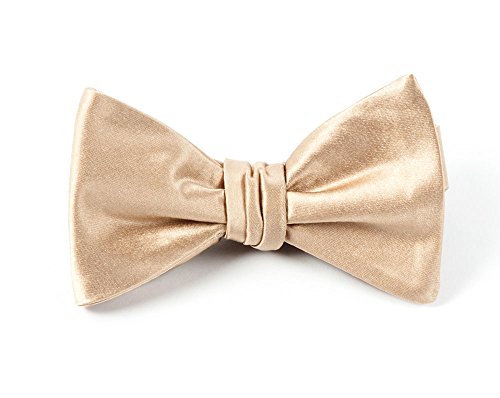 THE TIE BAR 100% WOVEN SILK LIGHT CHAMPAGNE SOLID SATIN SELF-TIE BOW TIE