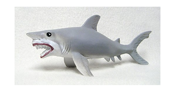 hollow shark toy